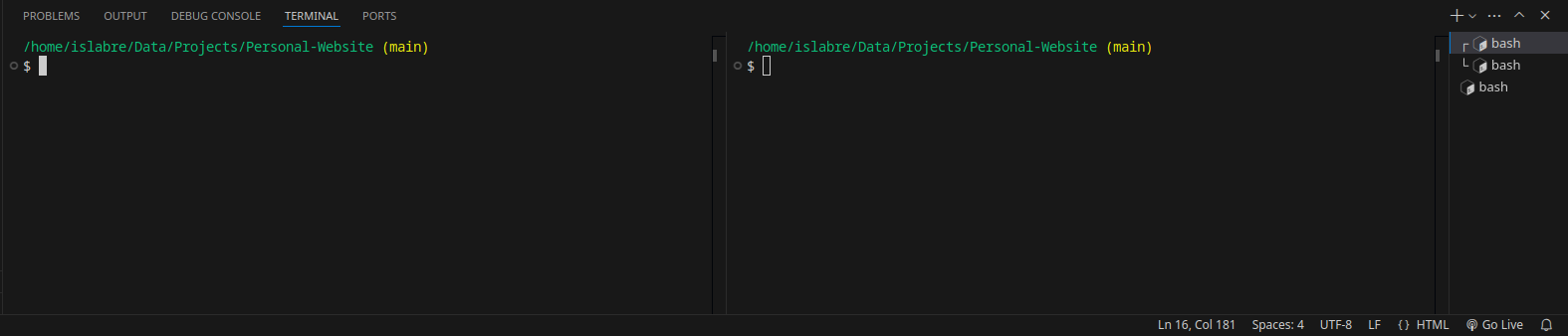 Visual Studio Code's terminal, with one terminal splitted into two seperate view